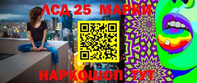 гидропоника Рузаевка