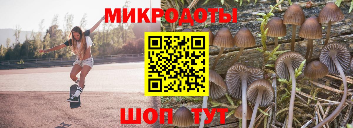 Нововоронеж  купить наркоту  Вход с VPN  Псилоцибиновые грибы Psilocybe 