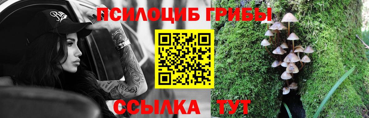 Псилоцибиновые грибы прущие грибы Нововоронеж